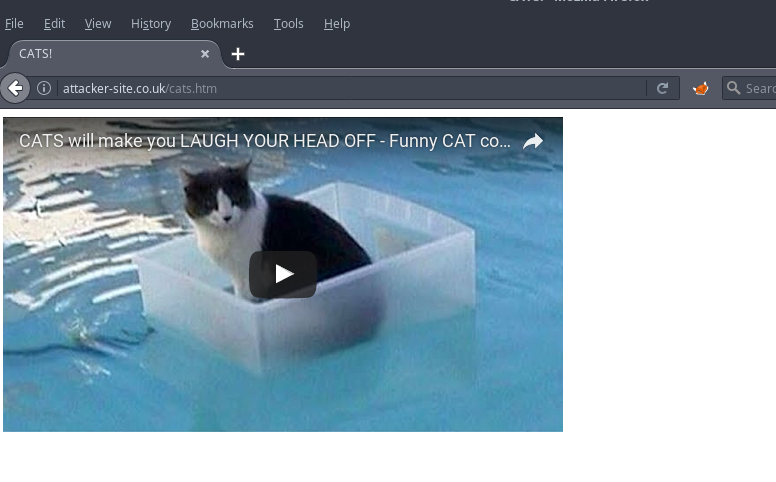 Attacker Site CATS!